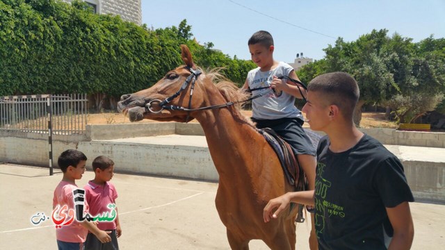 كفرقاسم - فيديو  : تعليم هواية ركوب الخيل في مدرسة جنة ابن رشد في اليوم الرابع لصيف الصادقة 